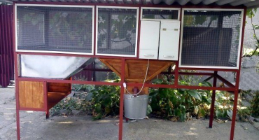 Jaké buňky jsou vhodné pro nutrie? Jak vyrobit voliéru?